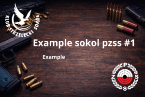 Read more about the article Example article with pzss logo #1