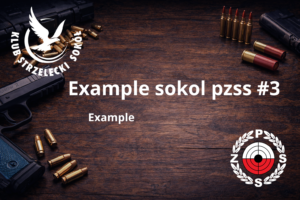 Read more about the article Example article with pzss logo #3